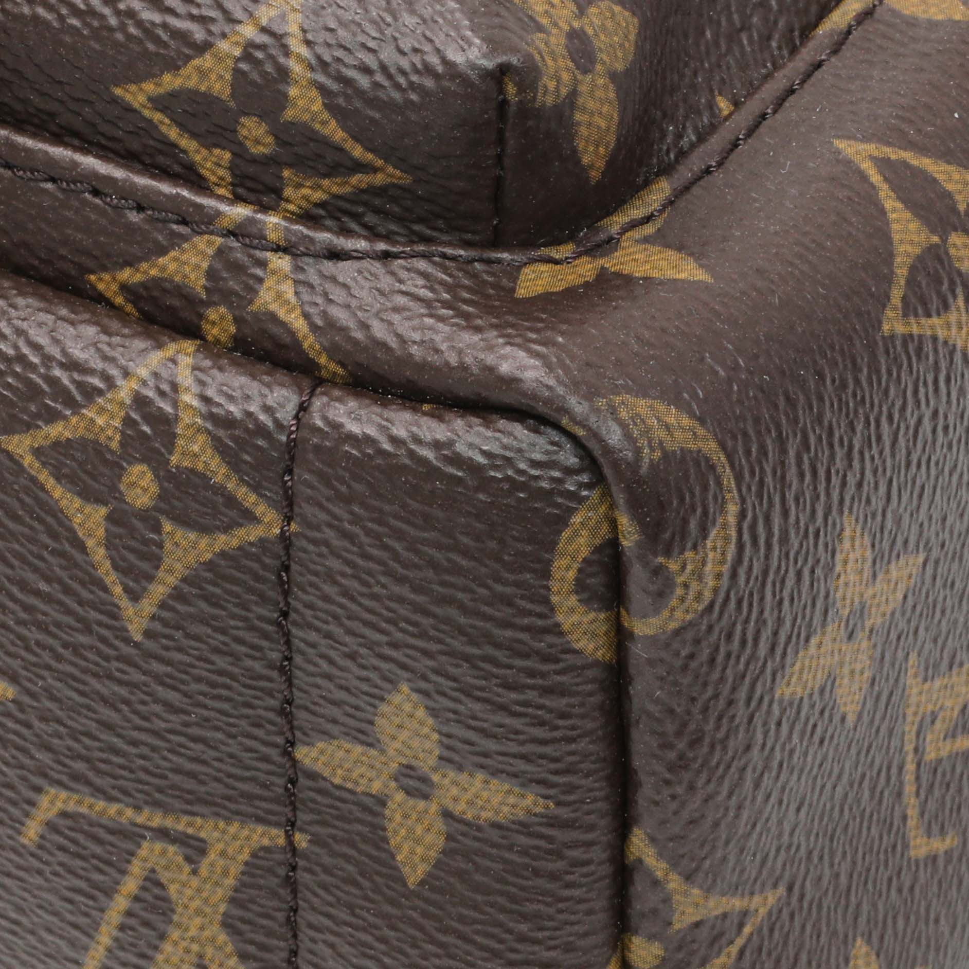 Exclusive Louis Vuitton Monogram Palm Springs Backpack Mini — Detail View