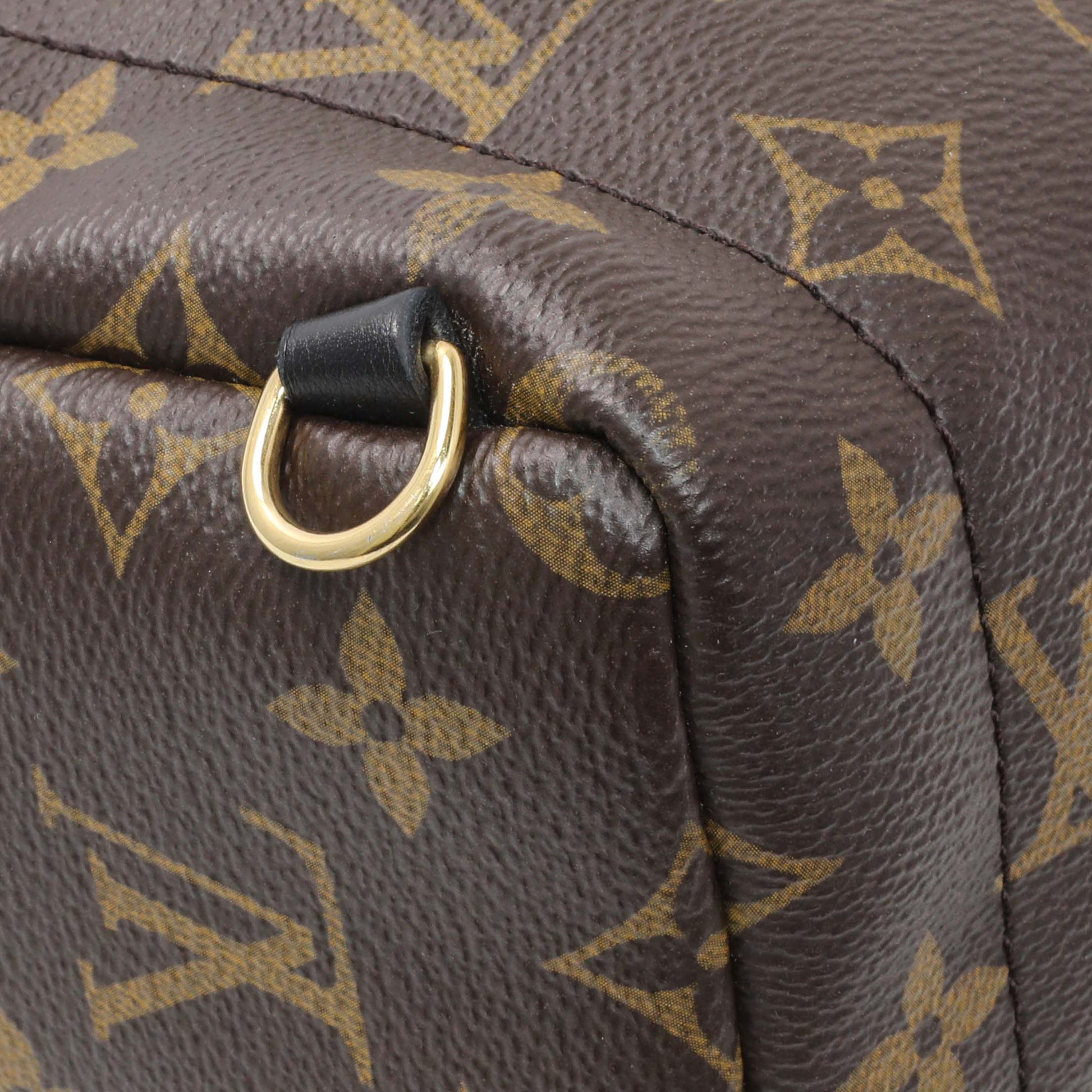 Exclusive Louis Vuitton Monogram Palm Springs Backpack Mini — Lifestyle View