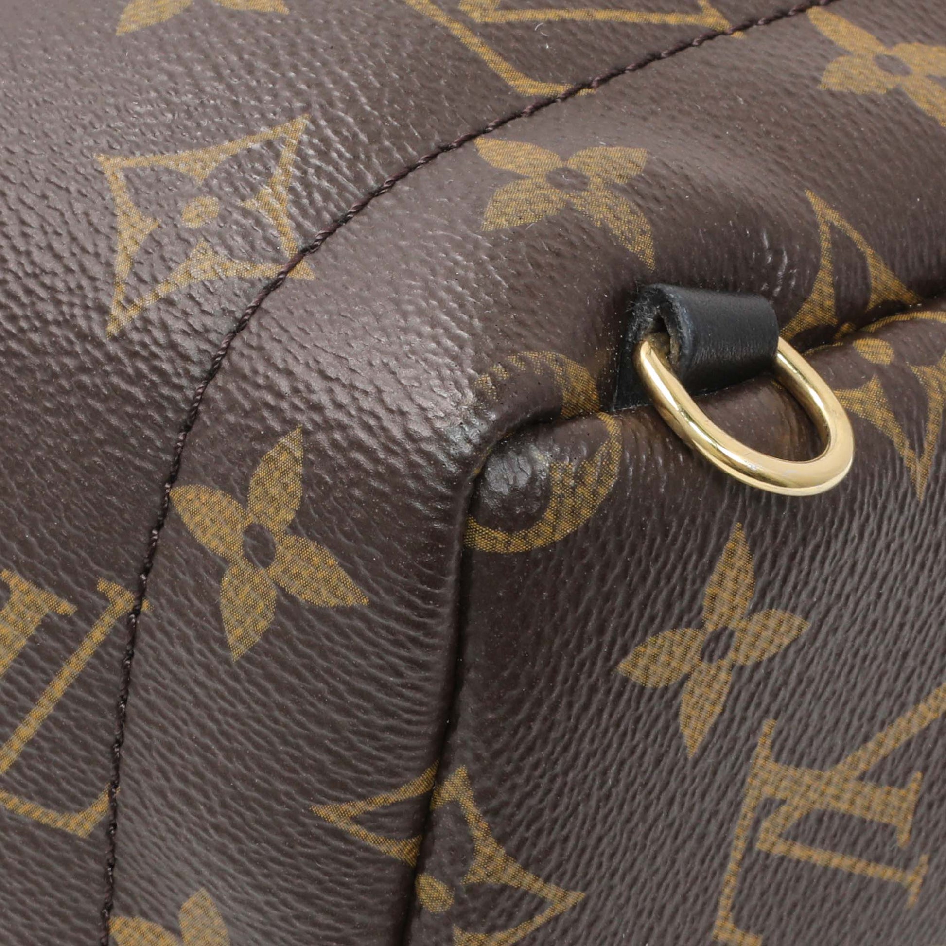 Exclusive Louis Vuitton Monogram Palm Springs Backpack Mini — Alternate View 7