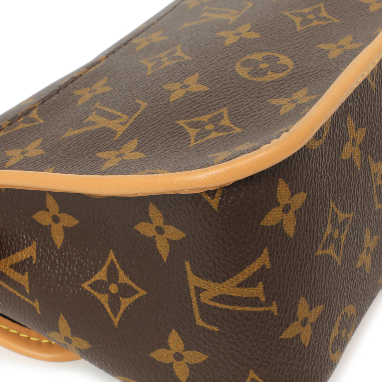 Exclusive Louis Vuitton Monogram Diane — Lifestyle View
