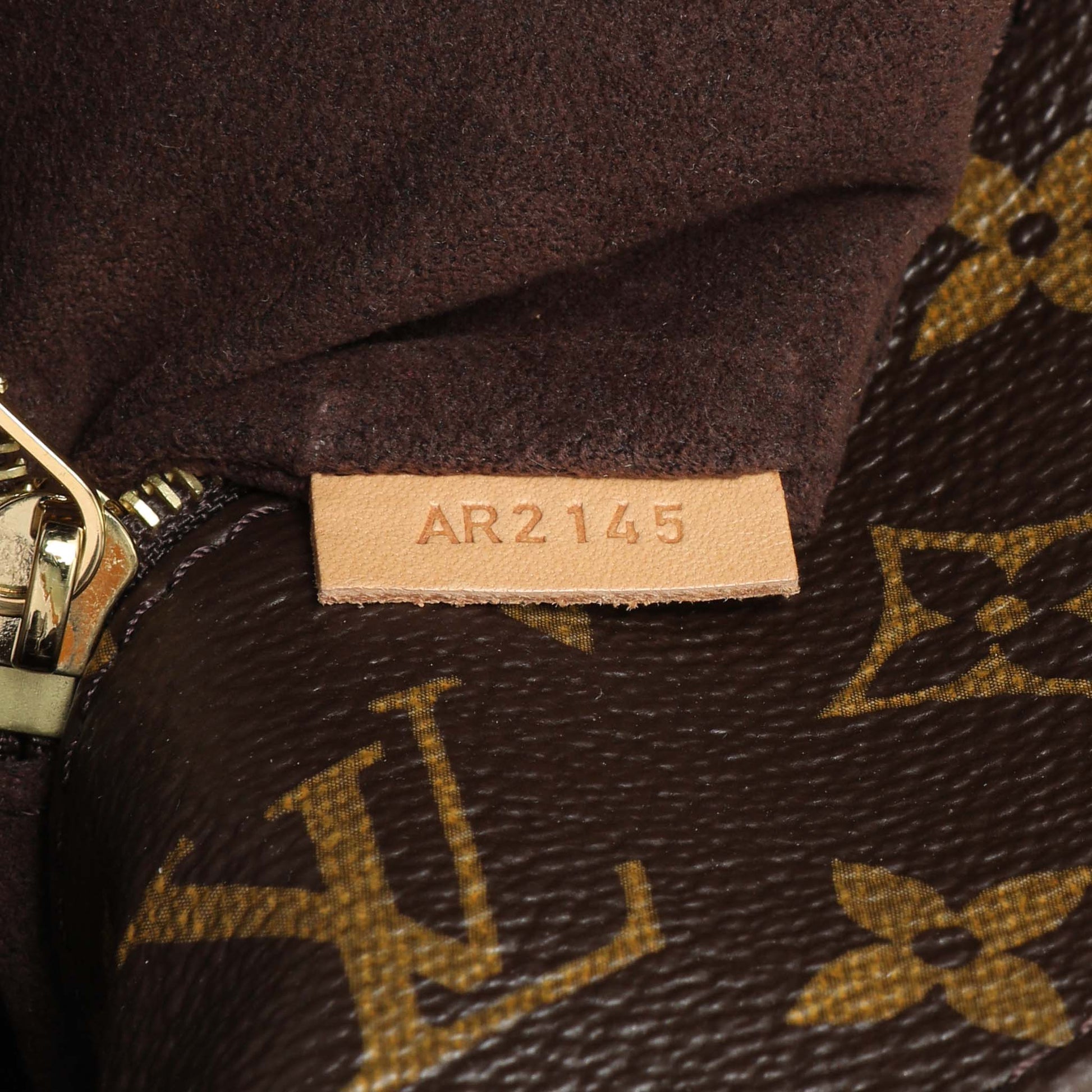 Exclusive Louis Vuitton Monogram Metis — Lifestyle View