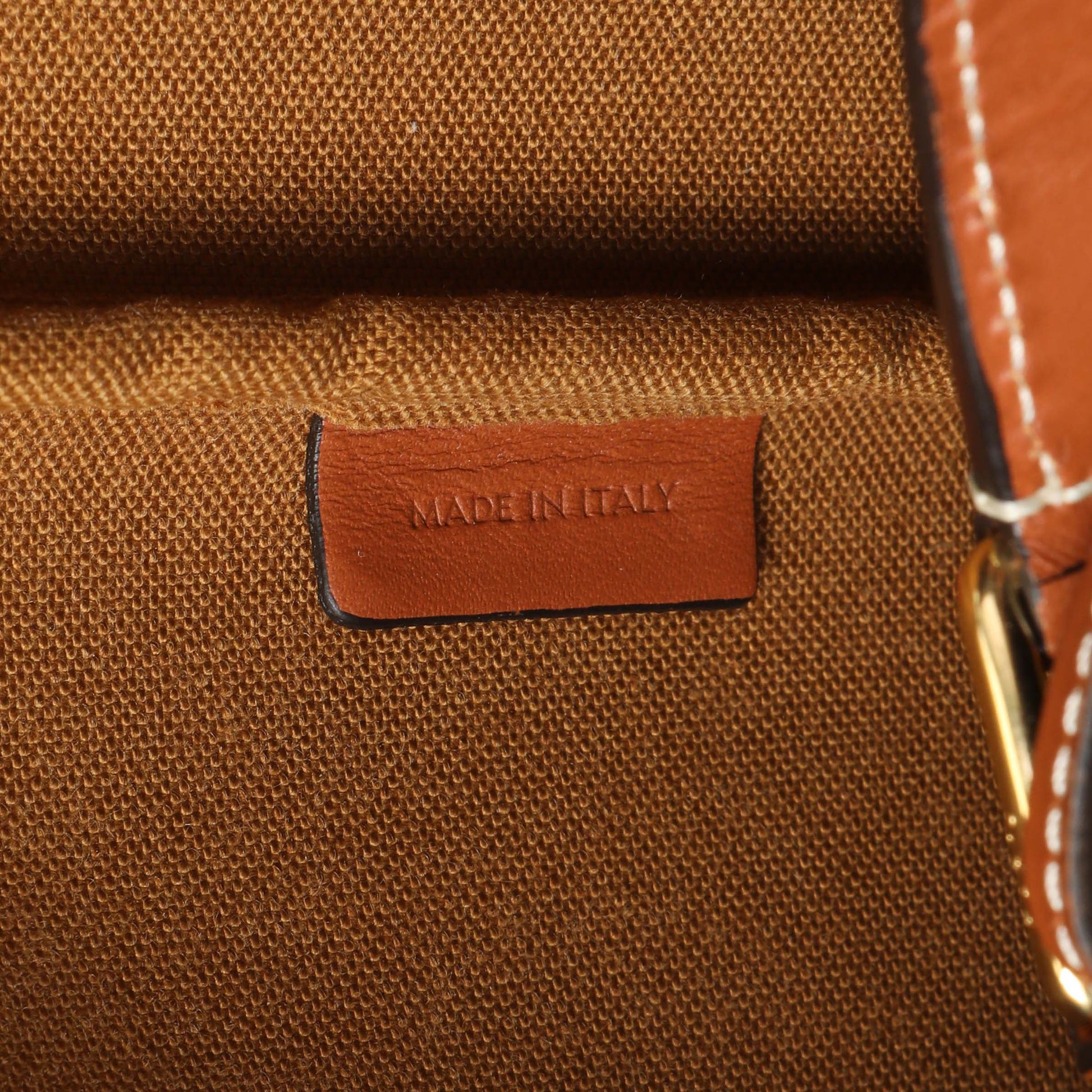 Exclusive Celine Tan Triomphe Canvas Calfskin Medium Bucket Bag — Alternate View 10