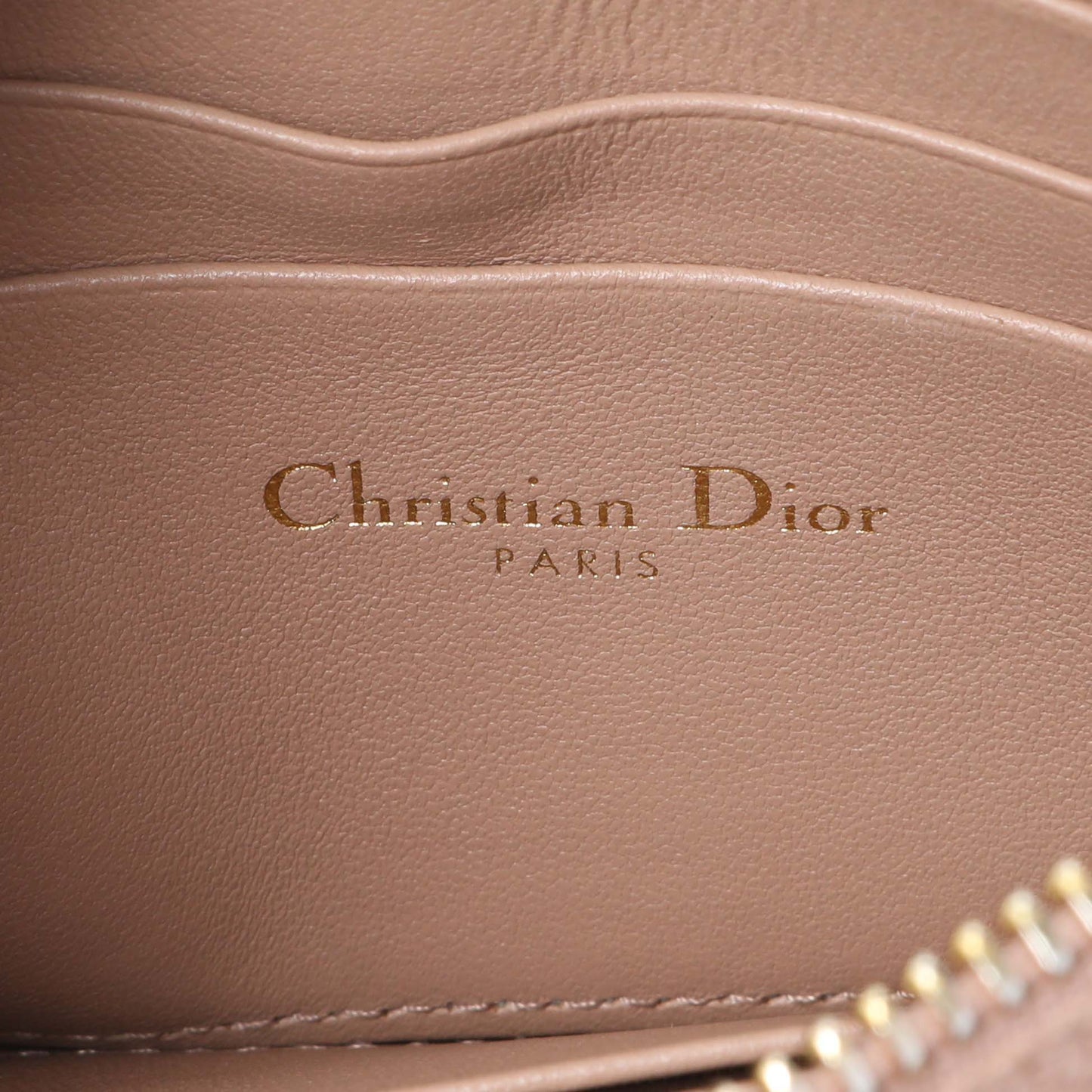 Exclusive Christian Dior Calfskin Cannage Caro Zipped Pouch With Chain — Alternate View 9