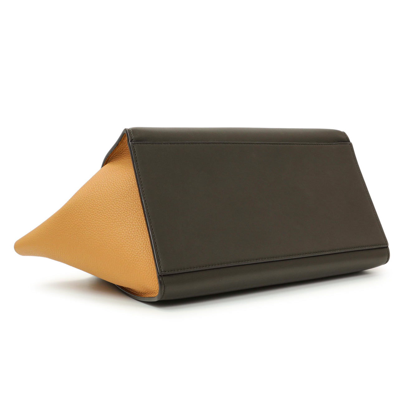 Exclusive Celine Tricolor Calfskin Small Trapeze — Back View