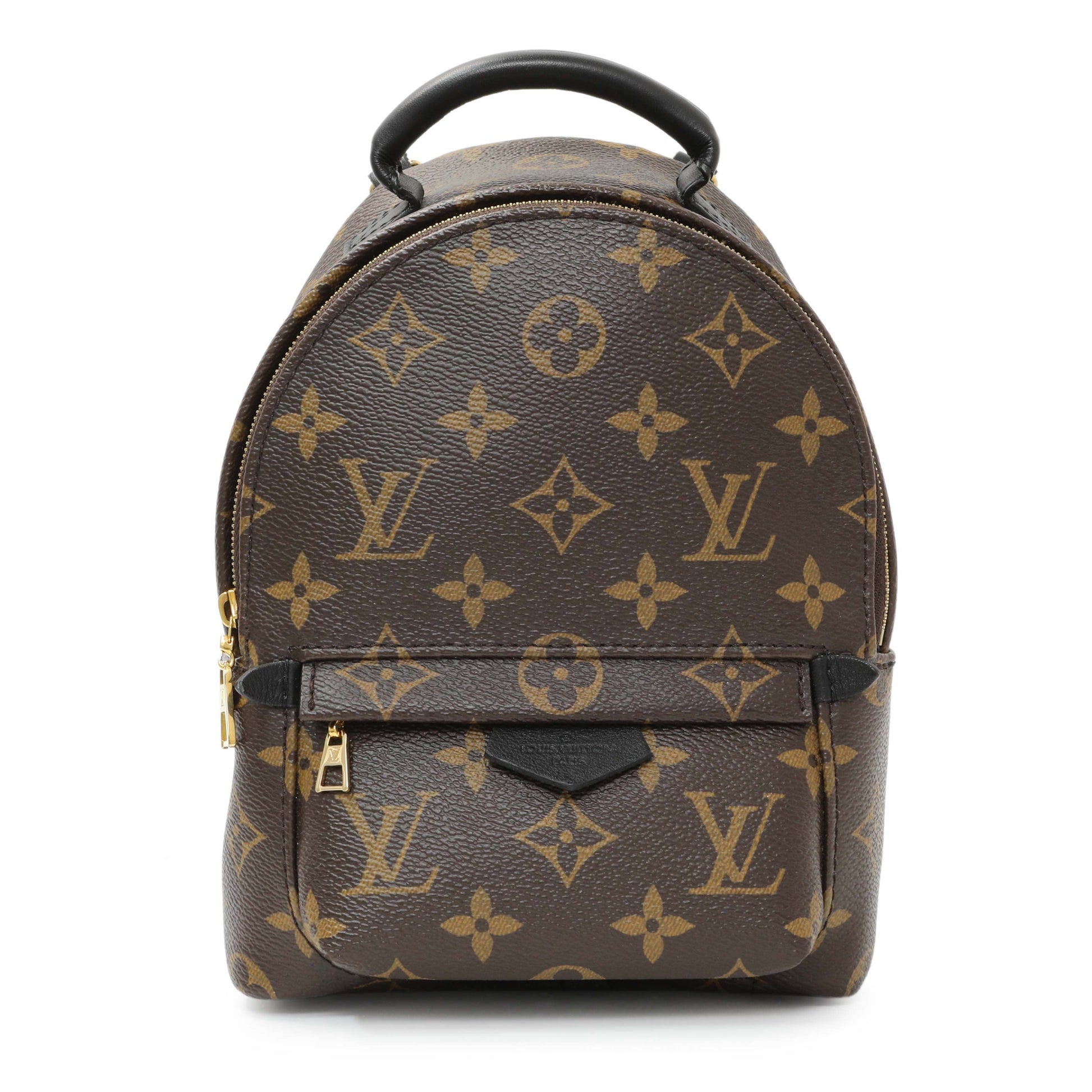 Exclusive Louis Vuitton Monogram Palm Springs Backpack Mini — Front View