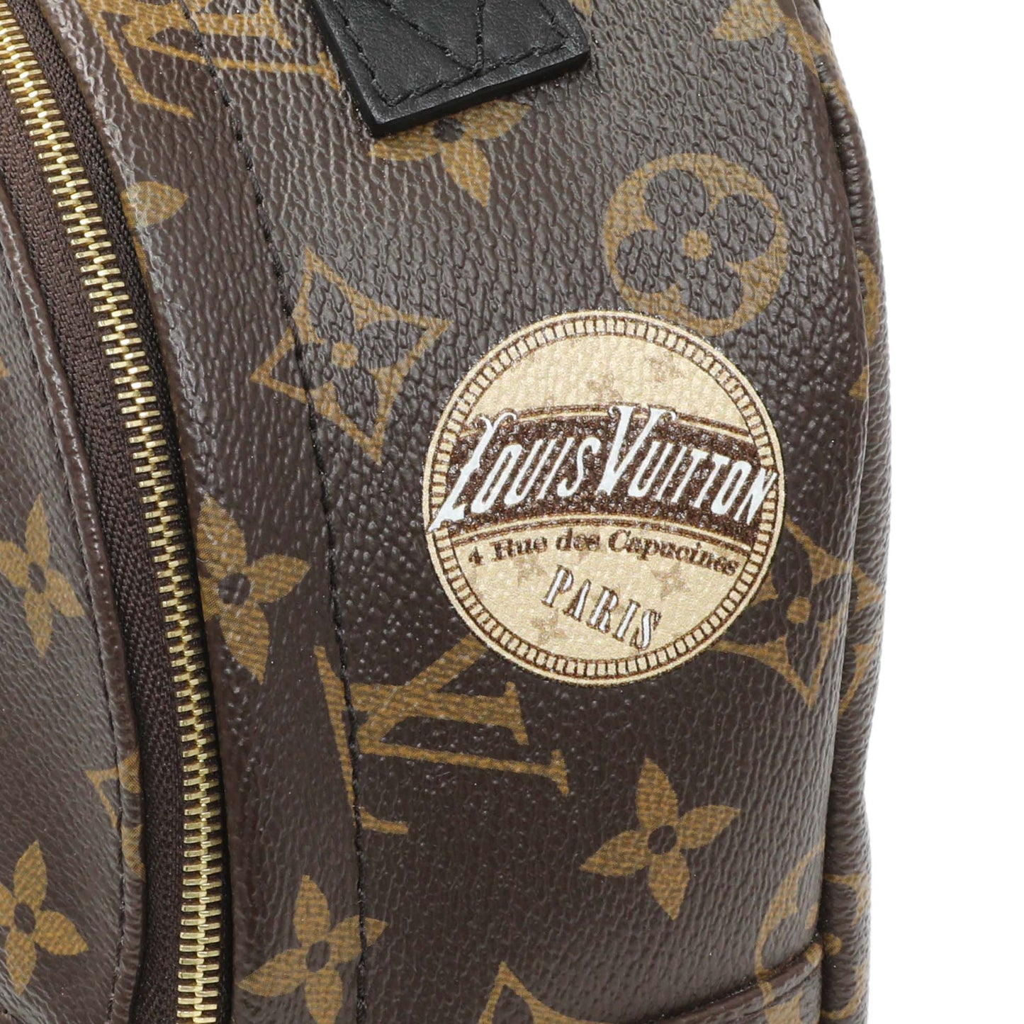Exclusive Louis Vuitton Monogram Palm Springs Backpack Mini — Alternate View 7