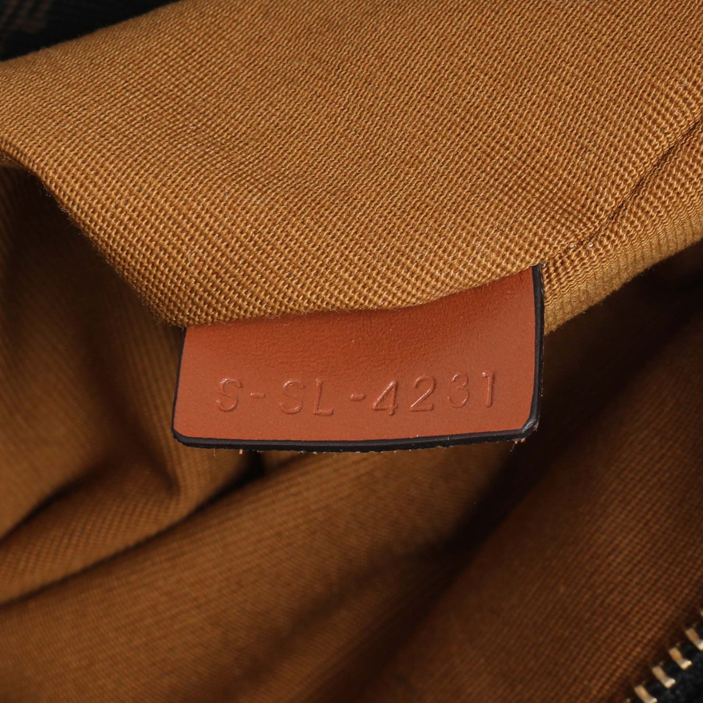 Exclusive Celine Triomphe Canvas Calfskin Small Vertical Cabas — Lifestyle View