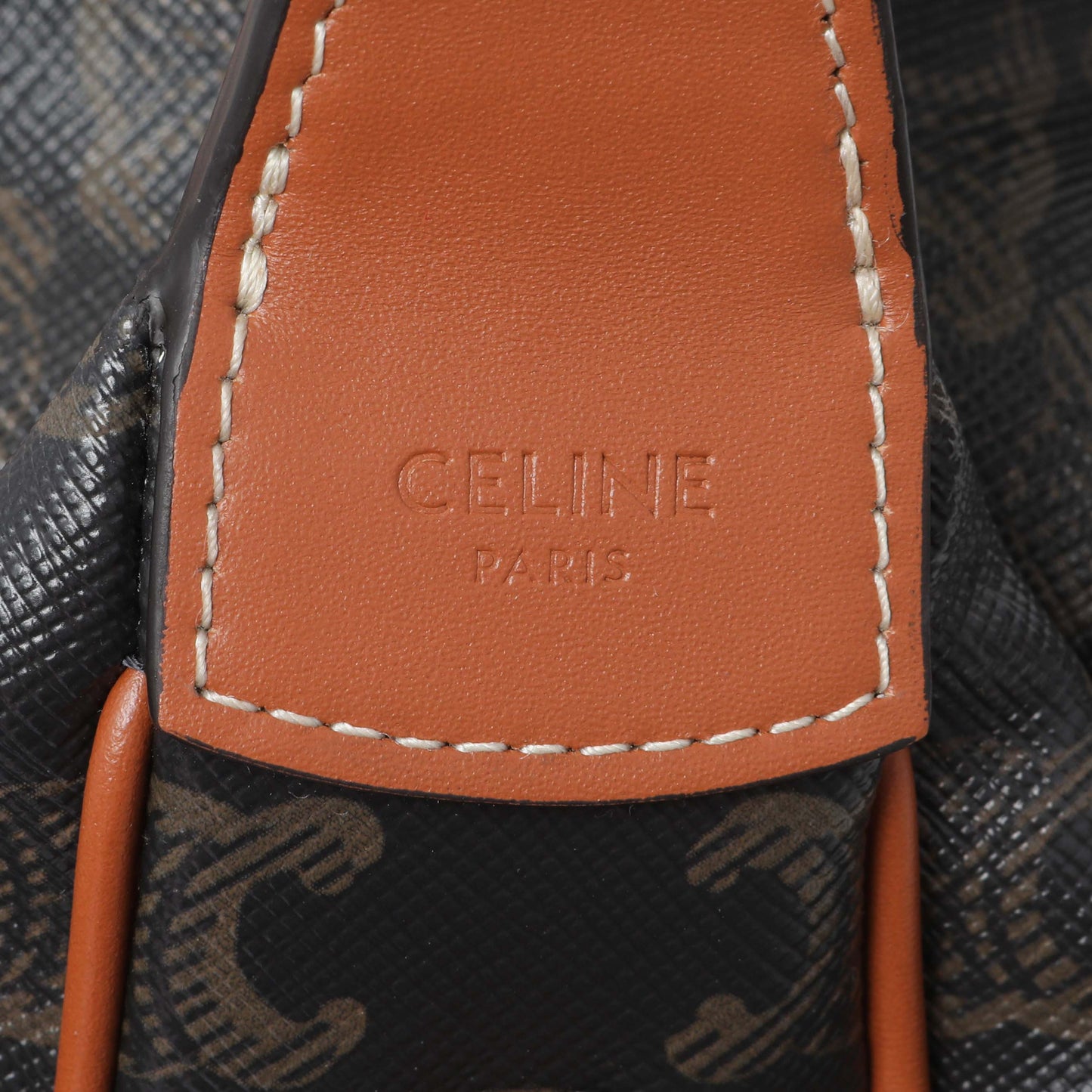 Exclusive Celine Triomphe Canvas Teen Lulu — Detail View