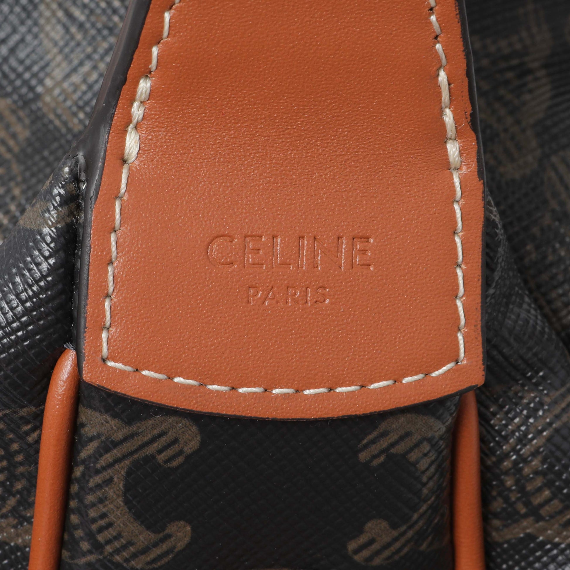 Exclusive Celine Triomphe Canvas Teen Lulu — Detail View