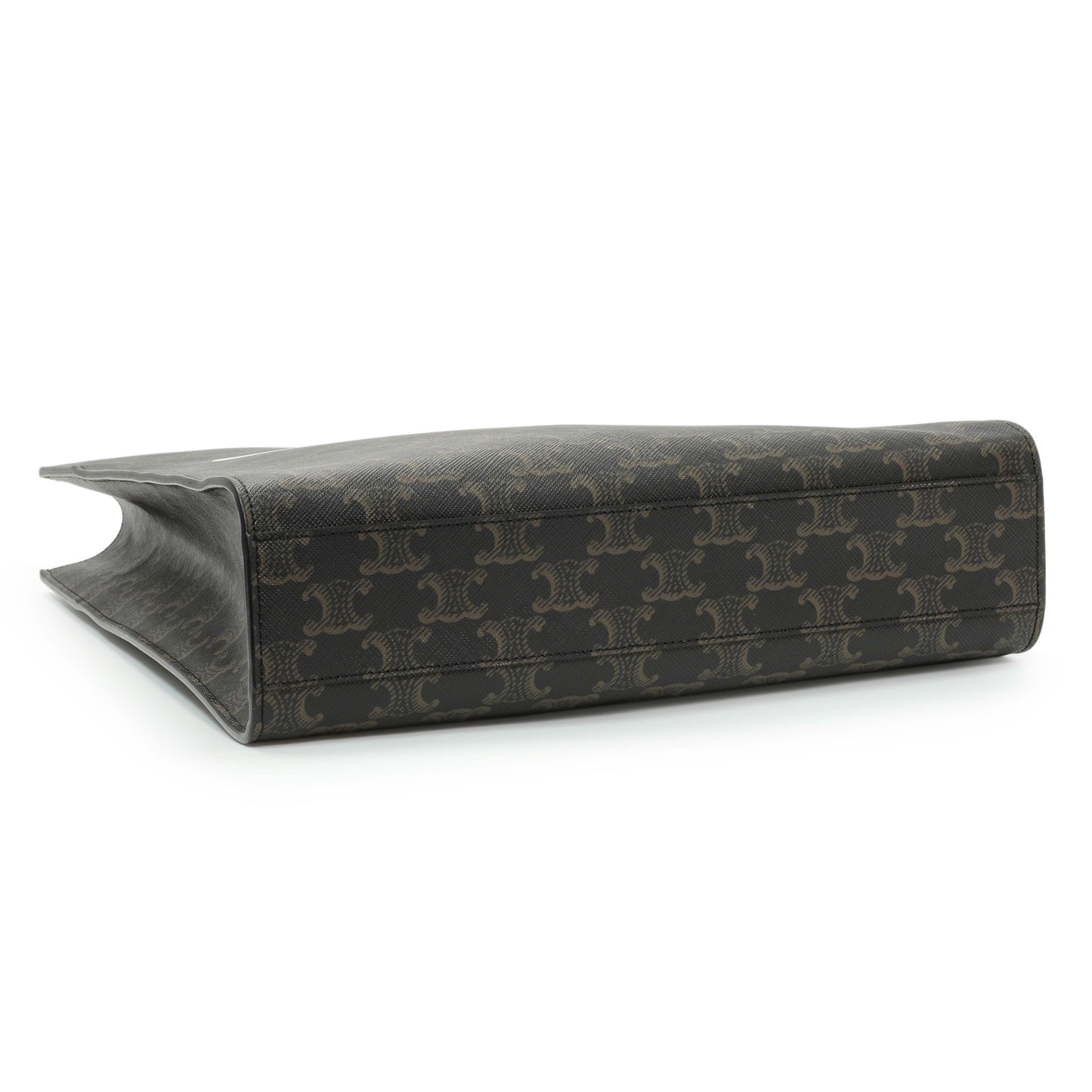 Exclusive Celine Triomphe Canvas Calfskin Small Vertical Cabas — Back View