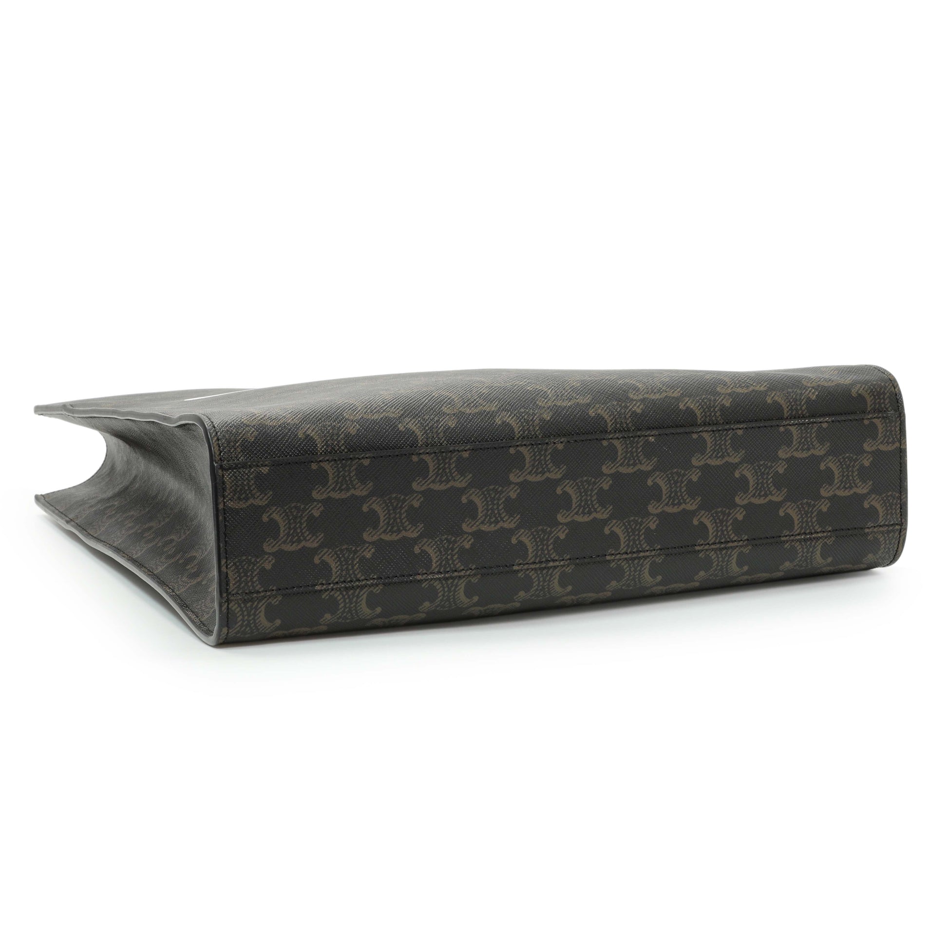 Exclusive Celine Triomphe Canvas Calfskin Small Vertical Cabas — Back View