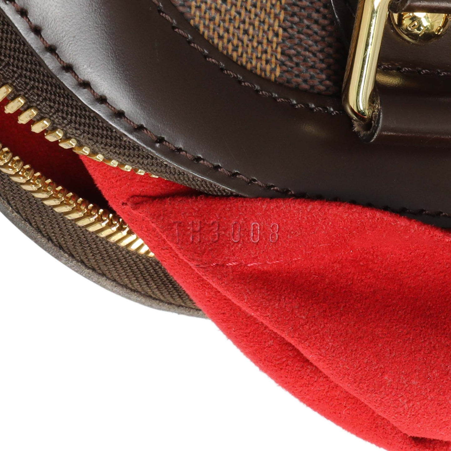 Exclusive Louis Vuitton Damier Ebene Trevi PM — Lifestyle View