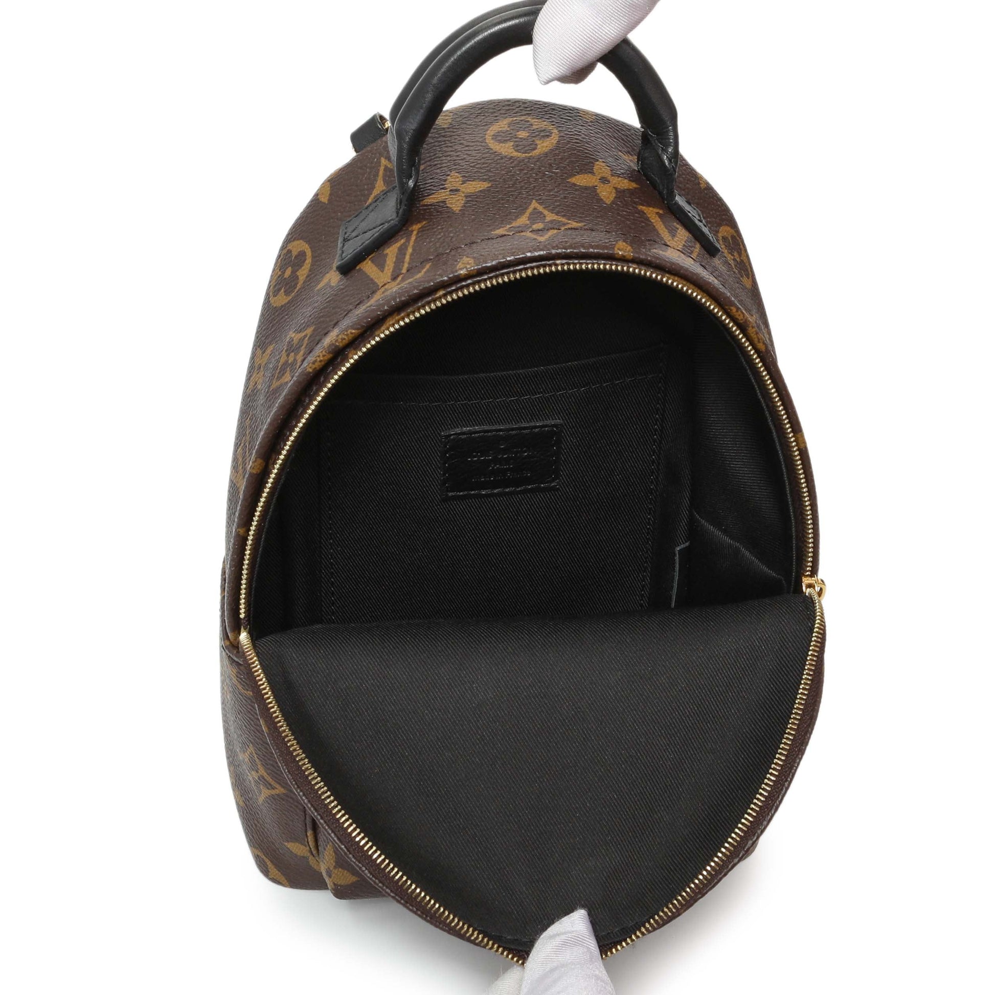Exclusive Louis Vuitton Monogram Palm Springs Backpack Mini — Alternate View 8