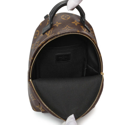 Exclusive Louis Vuitton Monogram Palm Springs Backpack Mini — Alternate View 8