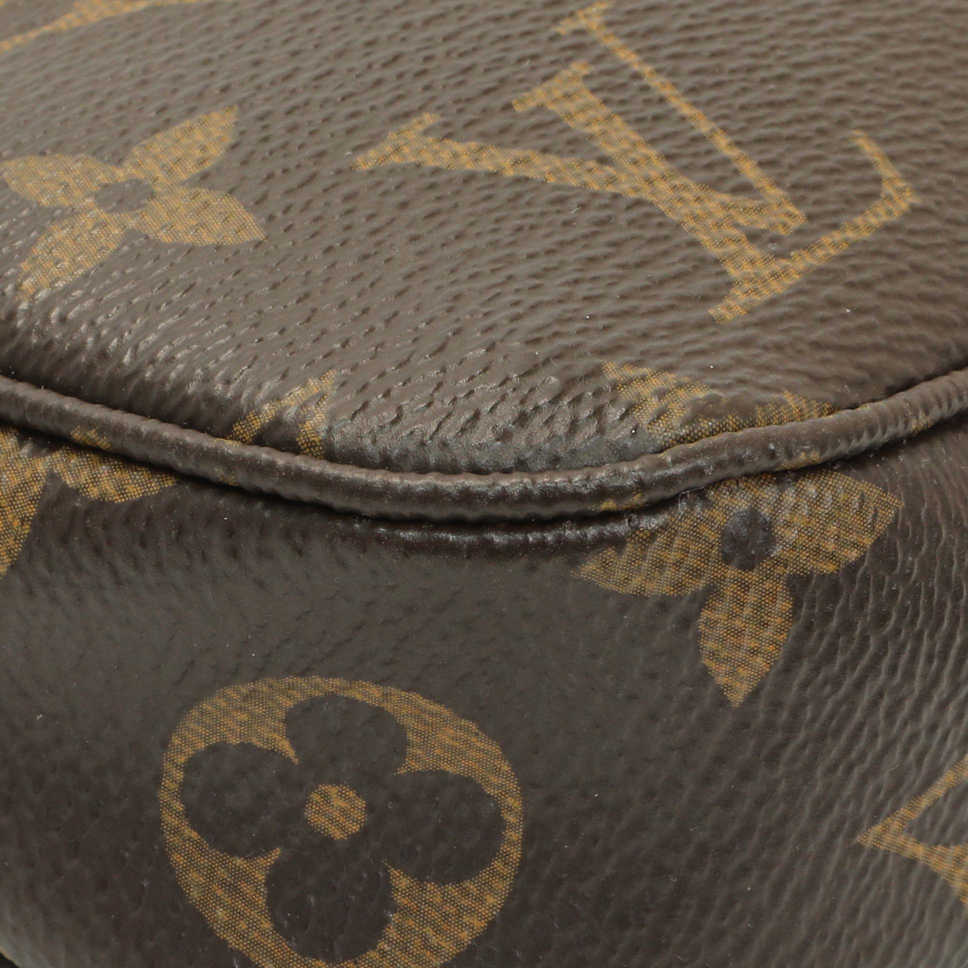 Exclusive Louis Vuitton Monogram Pochette Accessoires NM — Lifestyle View