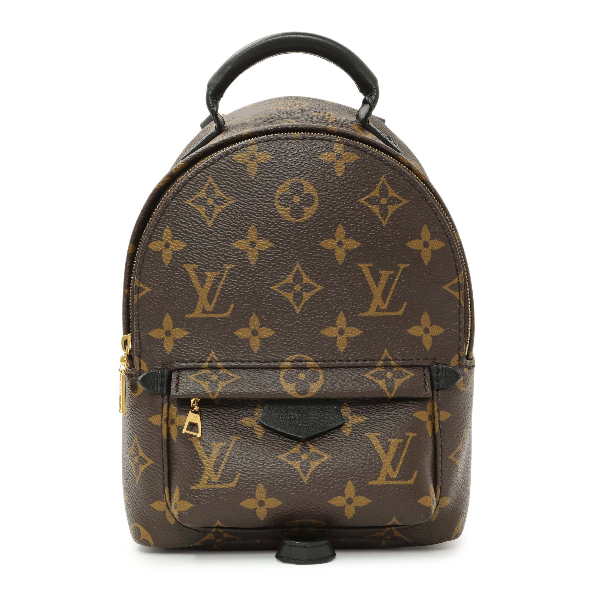 Exclusive Louis Vuitton Monogram Palm Springs Backpack Mini — Front View
