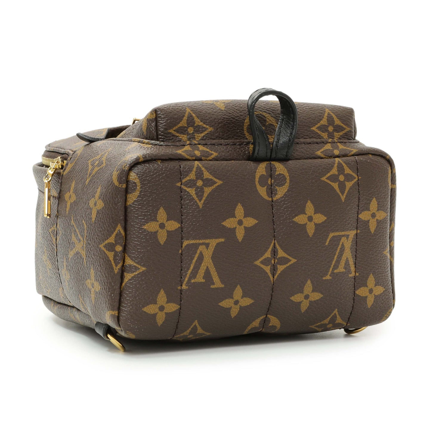 Exclusive Louis Vuitton Monogram Palm Springs Backpack Mini — Back View