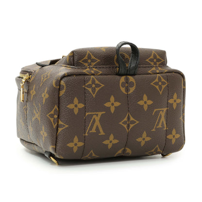 Exclusive Louis Vuitton Monogram Palm Springs Backpack Mini — Back View