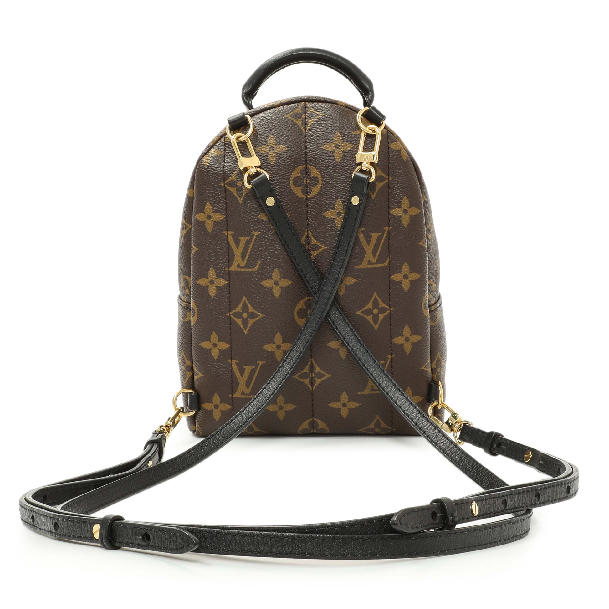 Exclusive Louis Vuitton Monogram Palm Springs Backpack Mini — Side View
