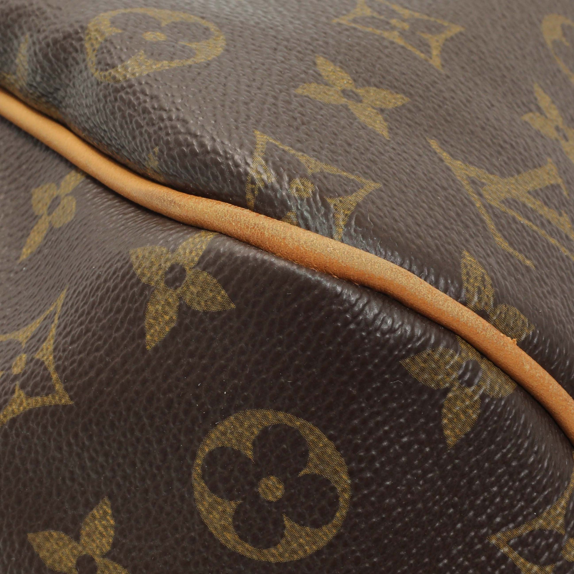Exclusive Louis Vuitton Monogram Delightful PM — Detail View