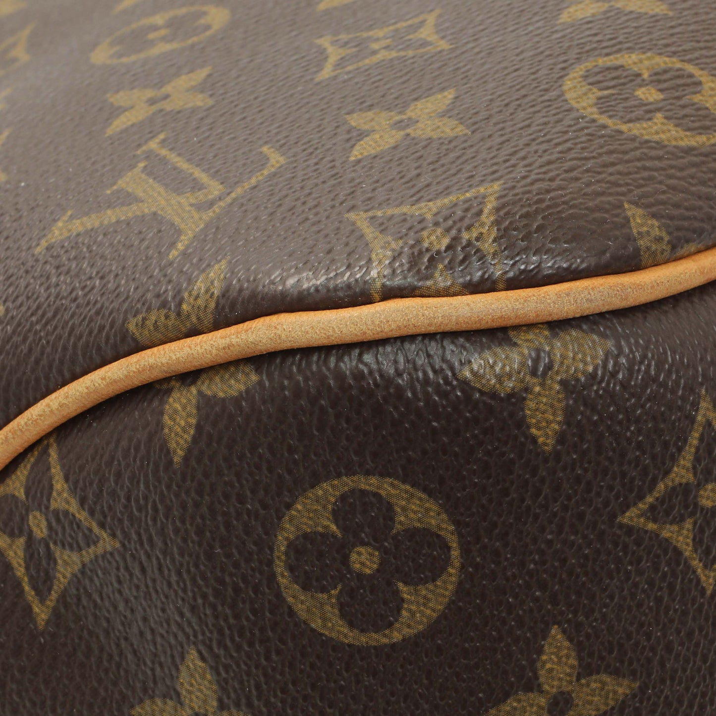 Exclusive Louis Vuitton Monogram Delightful PM — Lifestyle View