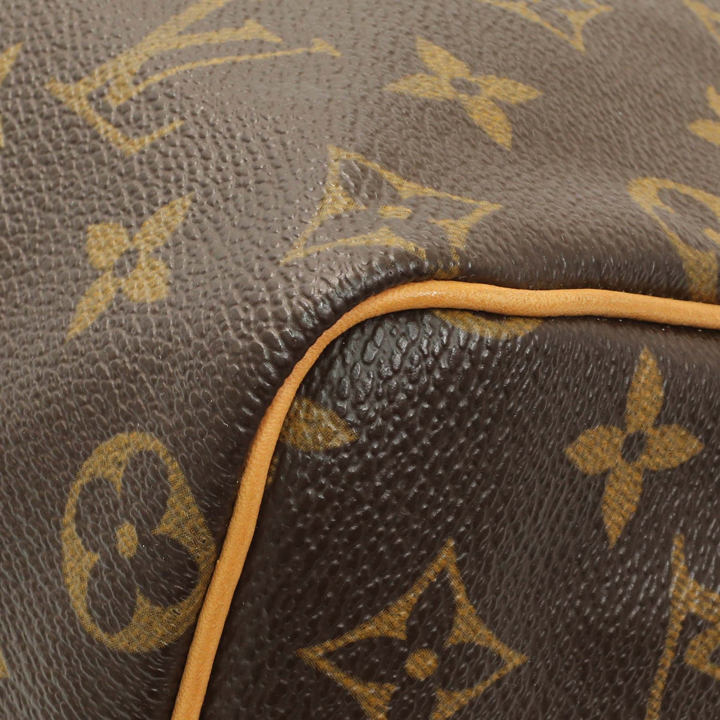 Exclusive Louis Vuitton Monogram Speedy 25 — Detail View