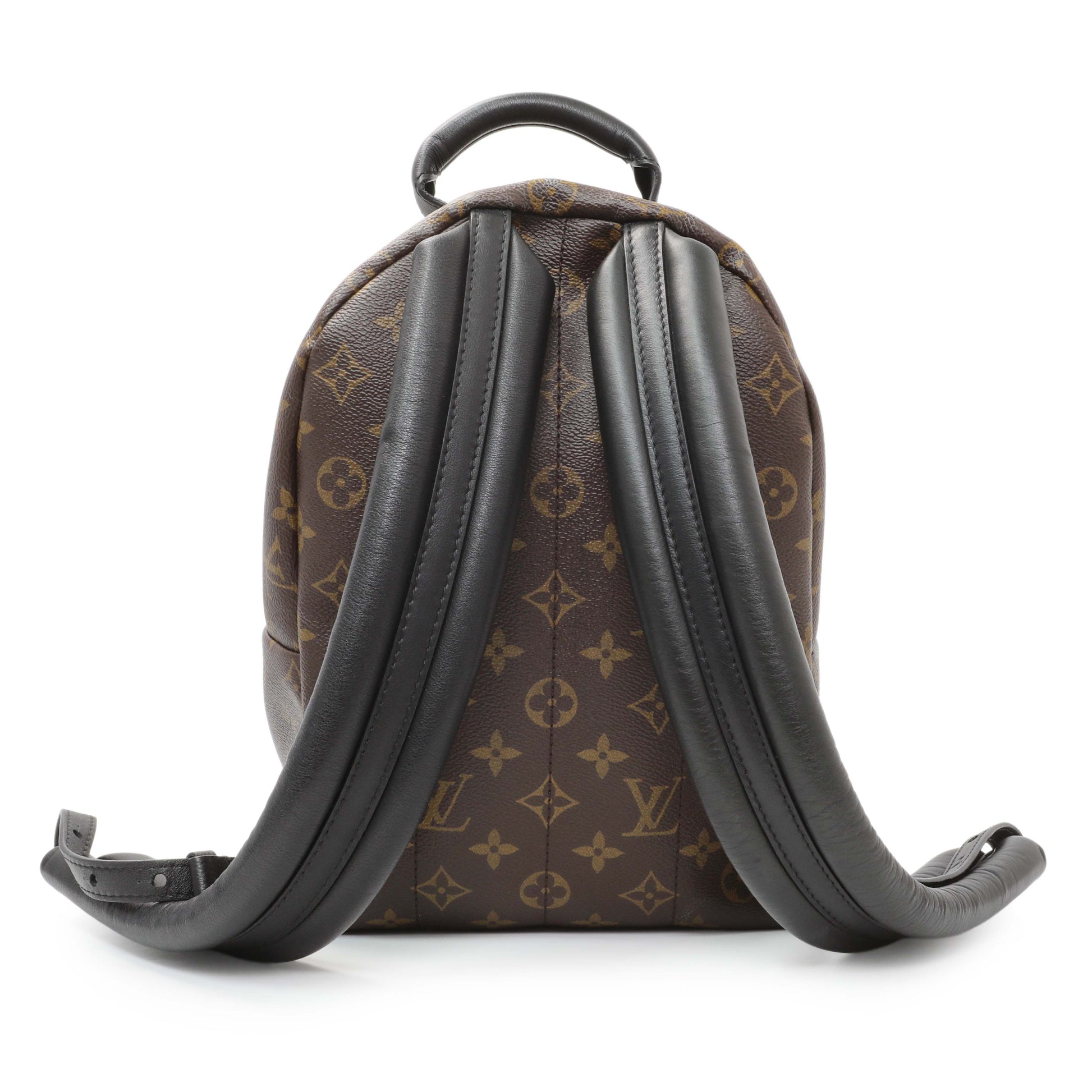 Exclusive Louis Vuitton Monogram Palm Springs Backpack PM — Side View