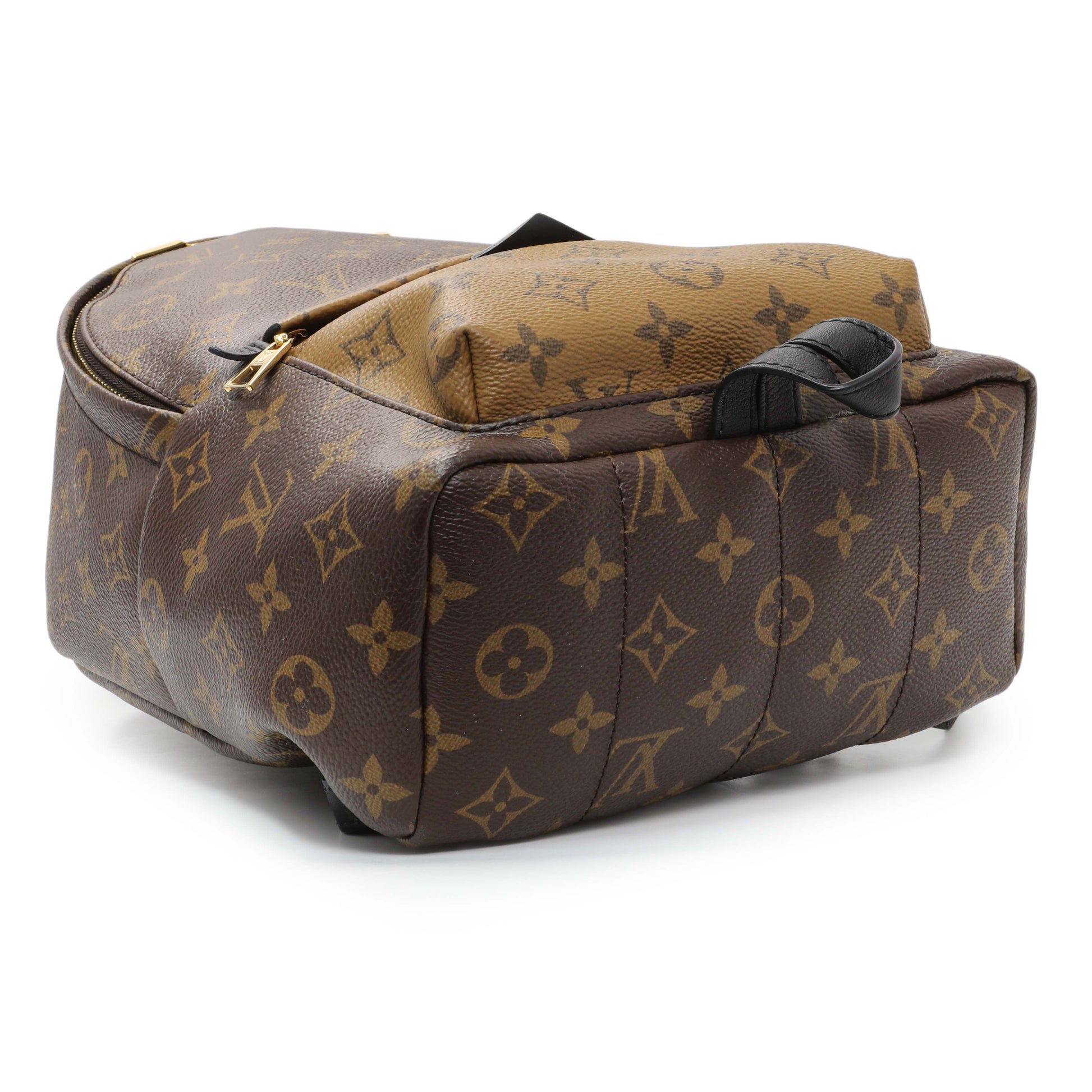 Exclusive Louis Vuitton Monogram Palm Springs Backpack PM — Back View