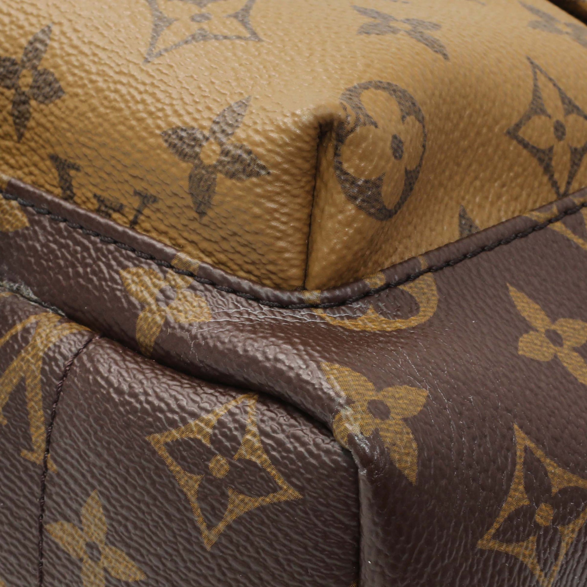 Exclusive Louis Vuitton Monogram Palm Springs Backpack PM — Detail View