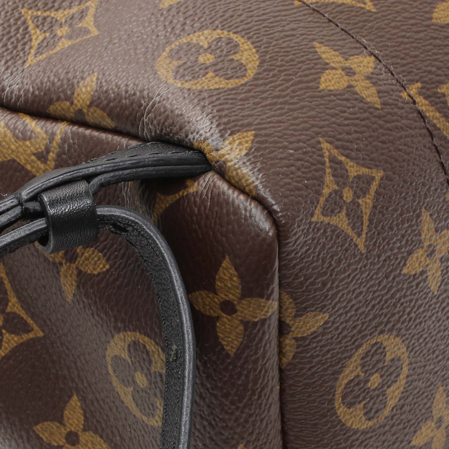 Exclusive Louis Vuitton Monogram Palm Springs Backpack PM — Lifestyle View