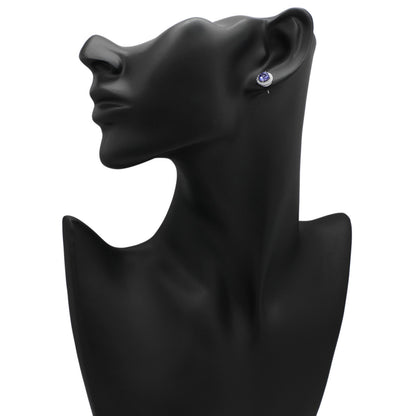 Exclusive Tiffany & Co. Platinum Tanzanite Soleste Earrings — Back View
