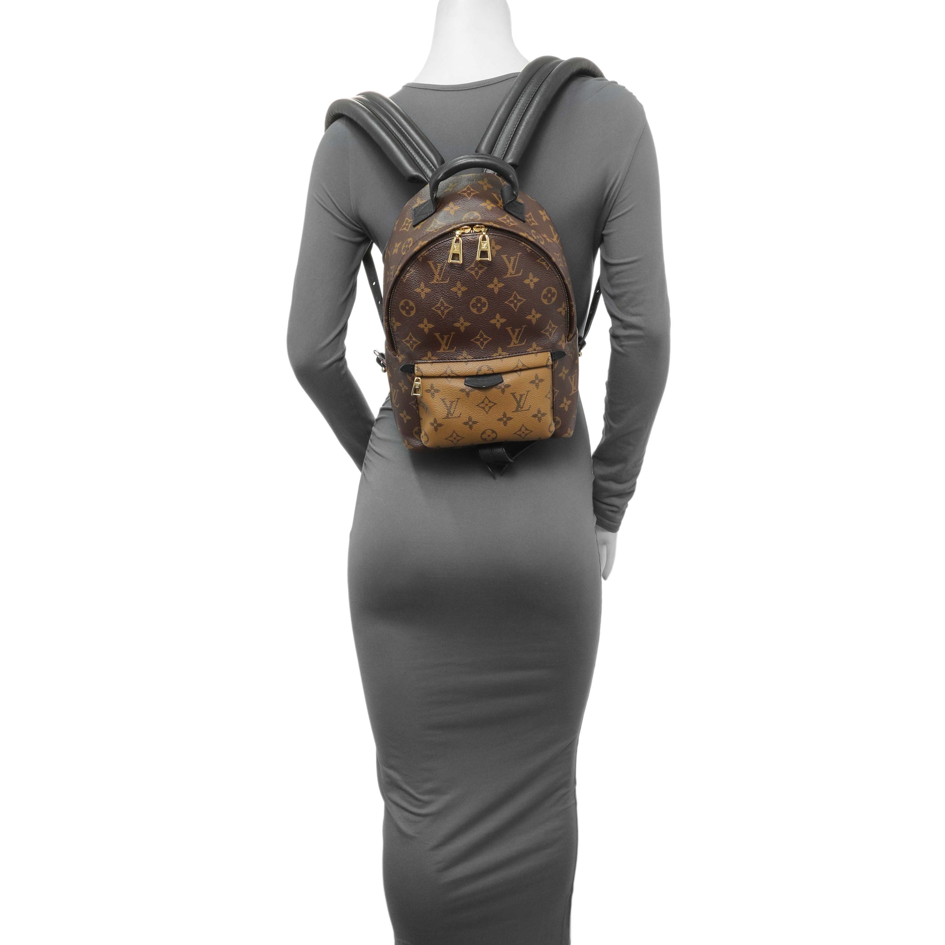 Exclusive Louis Vuitton Monogram Palm Springs Backpack PM — Alternate View 11