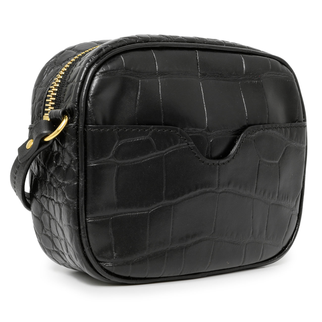 Exclusive Alexander McQueen Black Calfskin Crocodile-Embossed Mini Camera Shoulder Bag — Back View