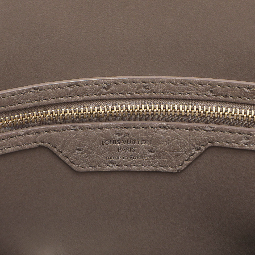 Exclusive Louis Vuitton Gris Ostrich Alma MM — Detail View
