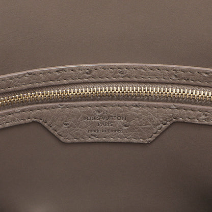 Exclusive Louis Vuitton Gris Ostrich Alma MM — Detail View