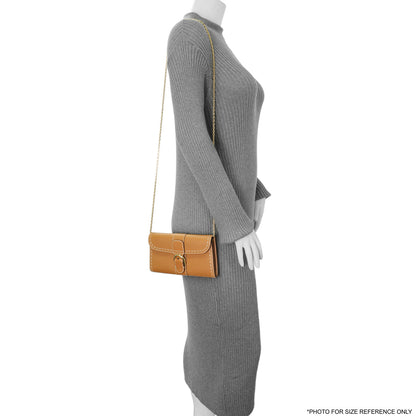 Exclusive Delvaux Tan Rodeo Calfskin Brillant Wallet On Chain — Lifestyle View