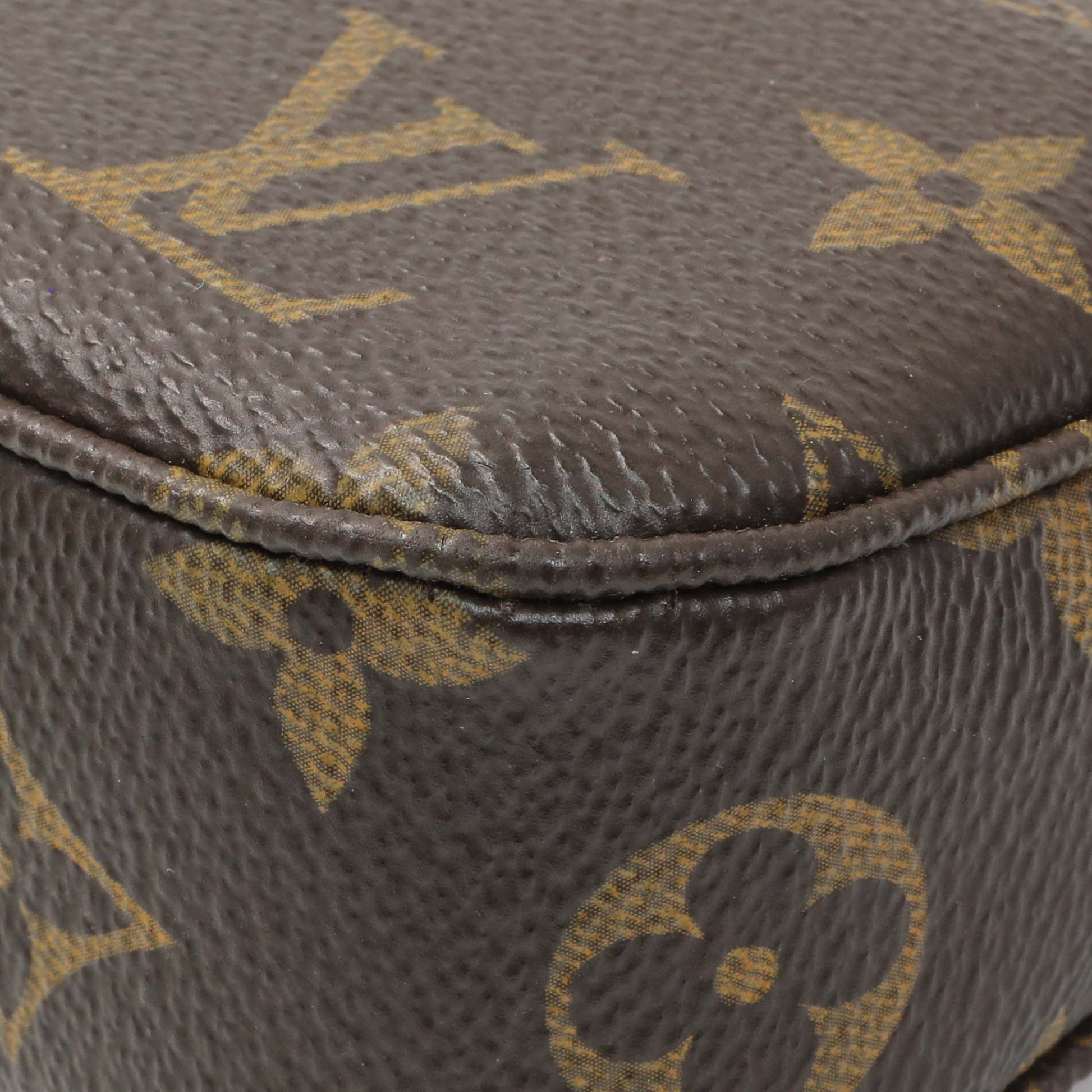Exclusive Louis Vuitton Monogram Pochette Accessories — Alternate View 7