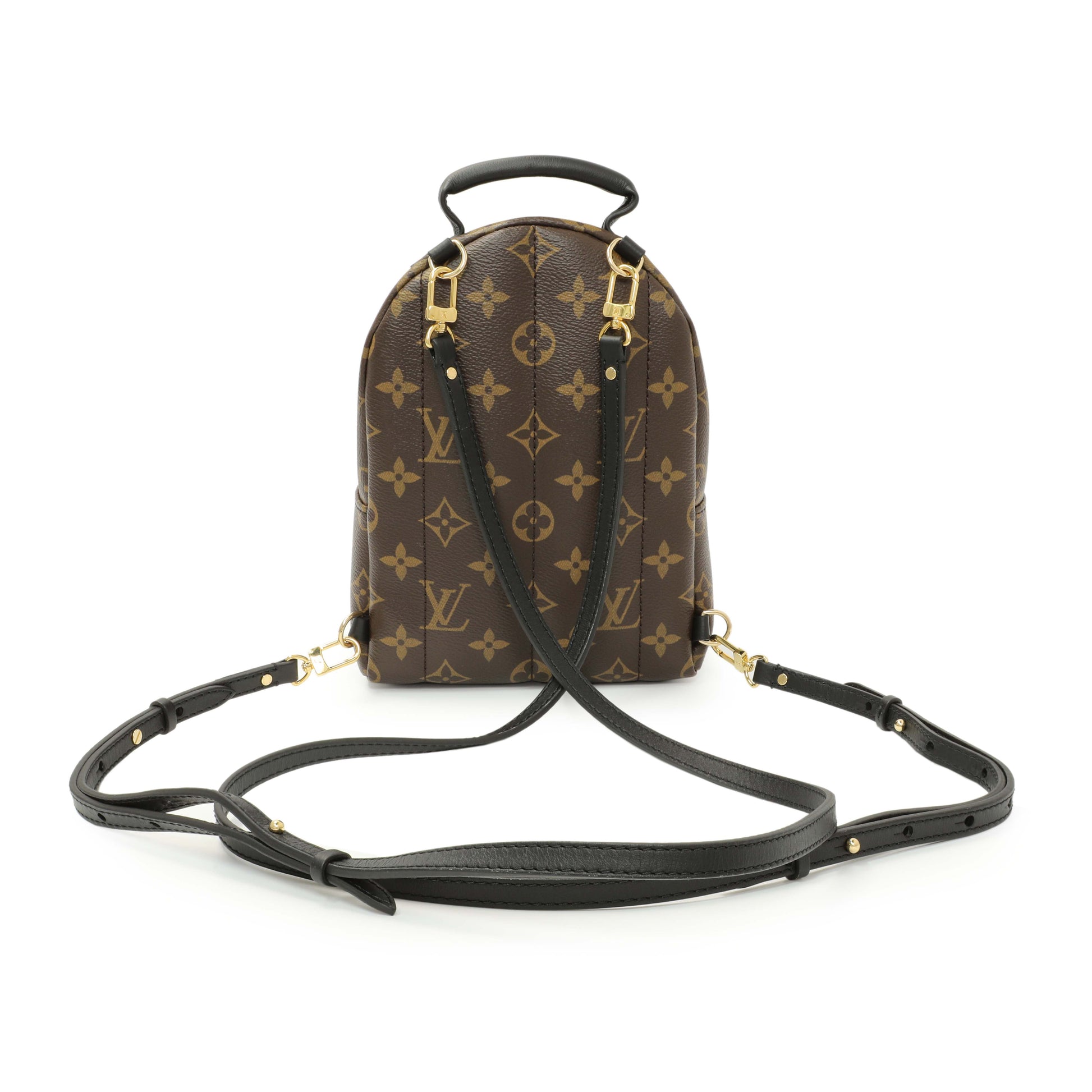 Exclusive Louis Vuitton Monogram Palm Springs Backpack Mini — Back View