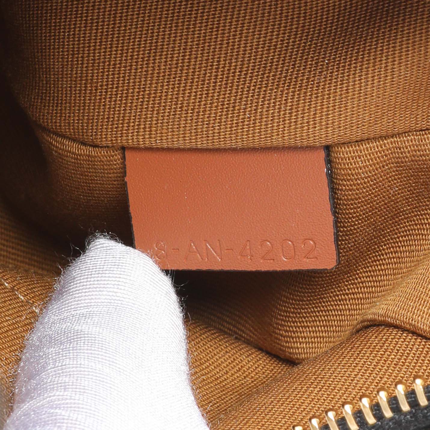 Exclusive Celine Triomphe Canvas Calfskin Ava Shoulder Bag — Lifestyle View