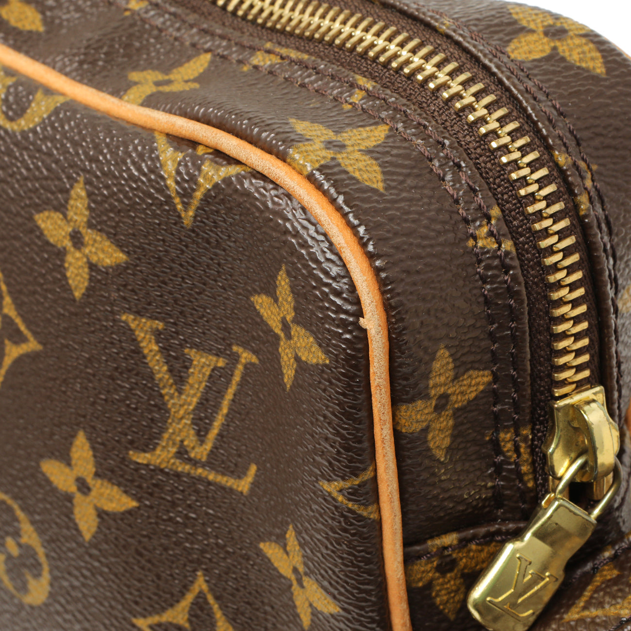 Exclusive Louis Vuitton Monogram Amazone Shoulder Bag — Alternate View 13
