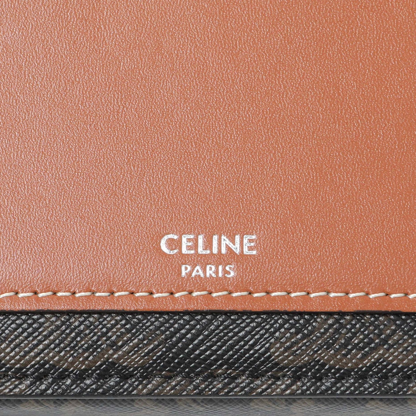 Exclusive Celine Triomphe Horizontal Pouch — Detail View