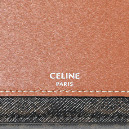 Exclusive Celine Triomphe Horizontal Pouch — Detail View