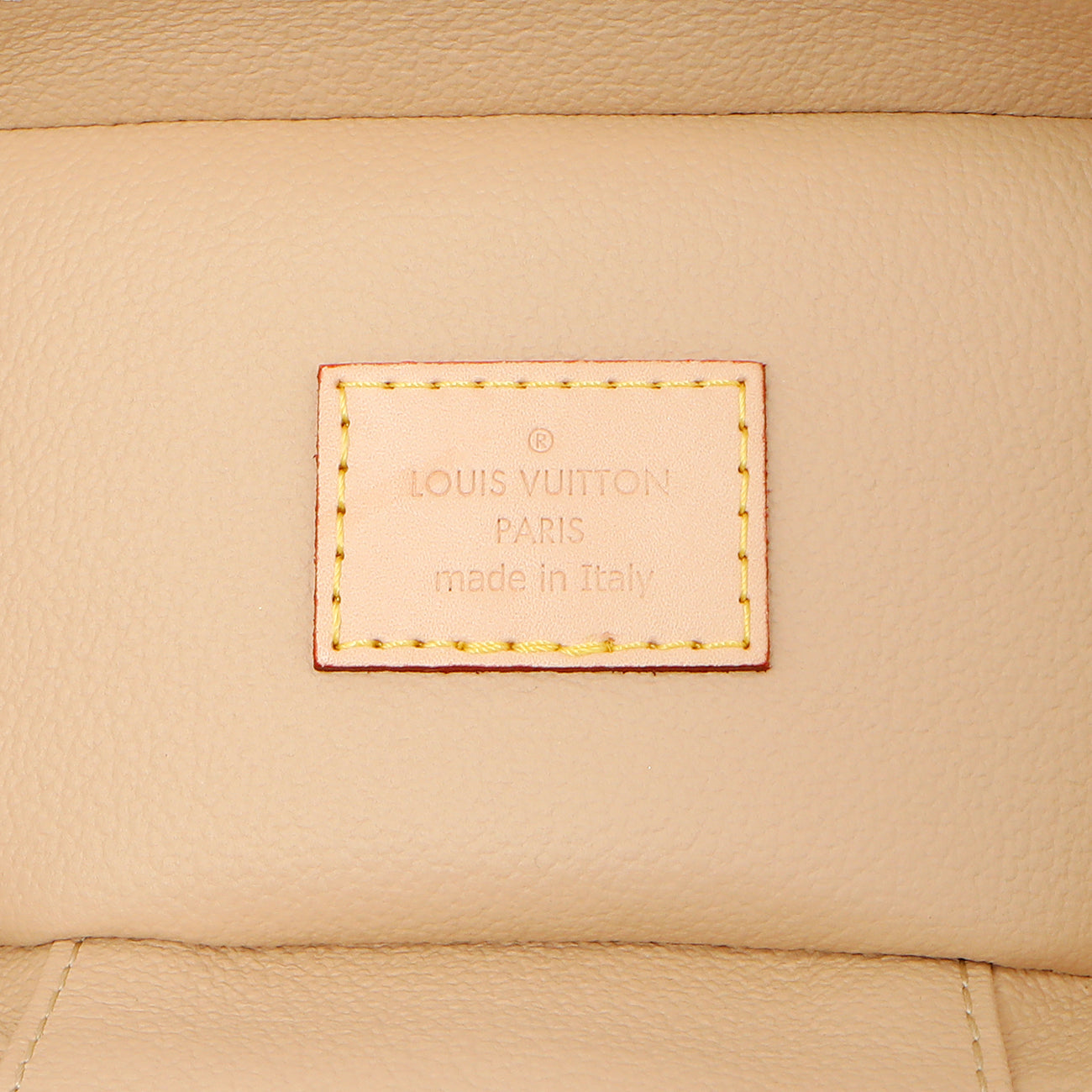 Exclusive Louis Vuitton Monogram Nice Nano — Detail View