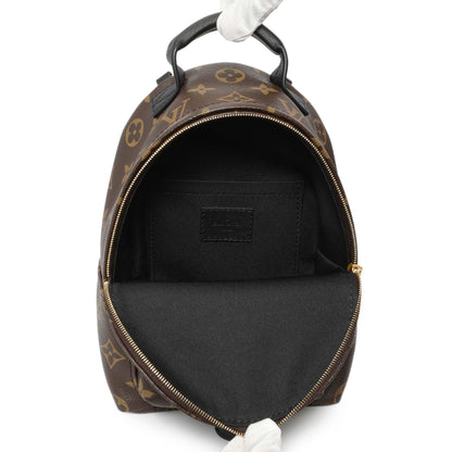 Exclusive Louis Vuitton Monogram Palm Springs Backpack Mini — Top View