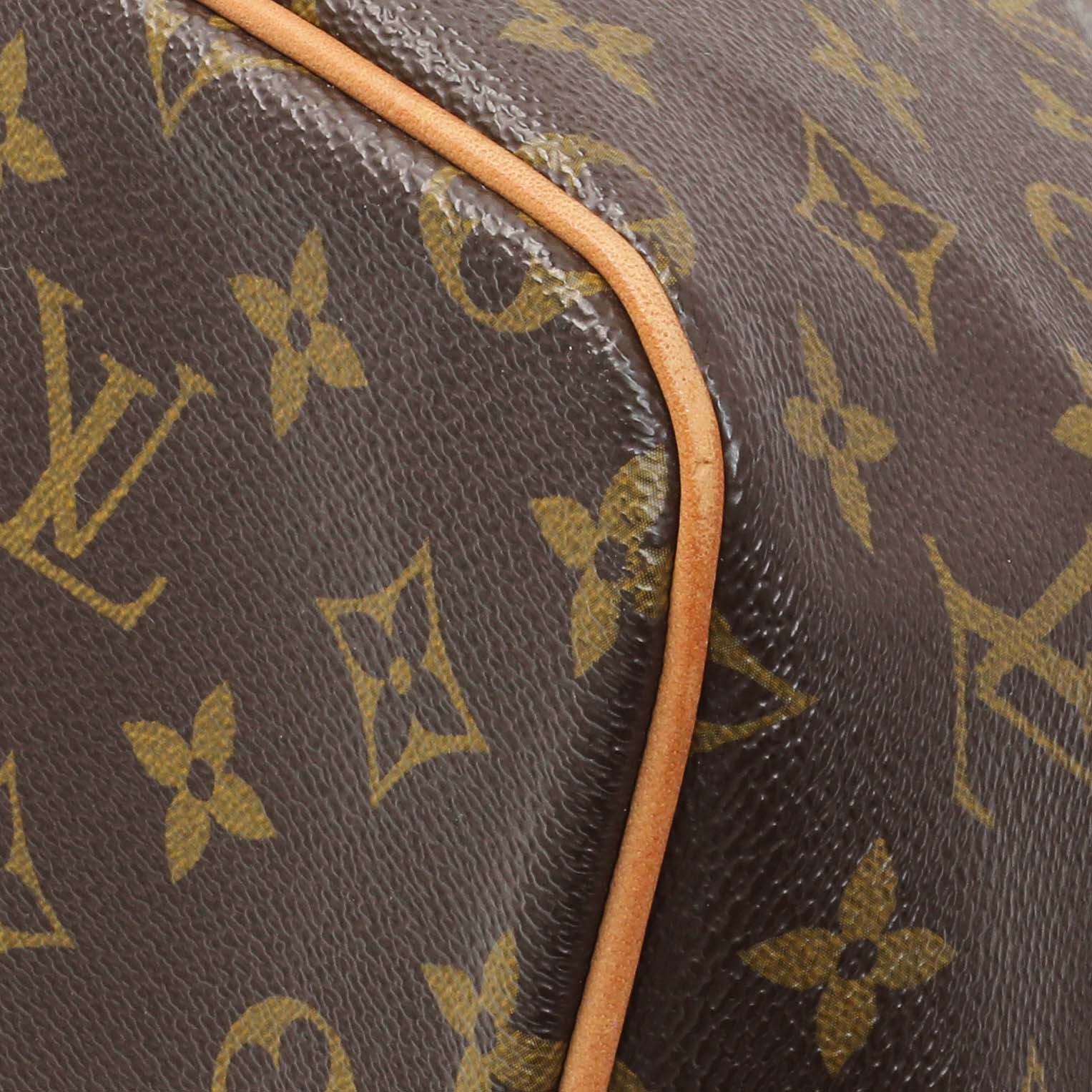 Exclusive Louis Vuitton Monogram Palermo PM — Detail View