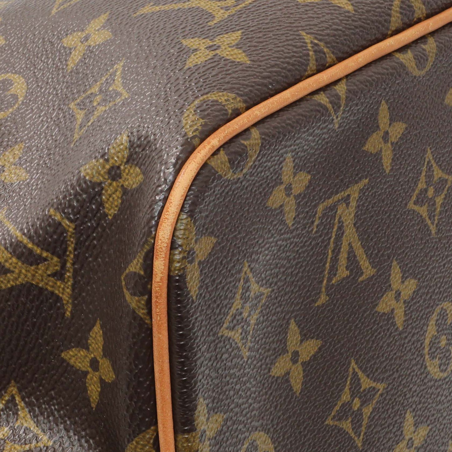 Exclusive Louis Vuitton Monogram Palermo PM — Lifestyle View