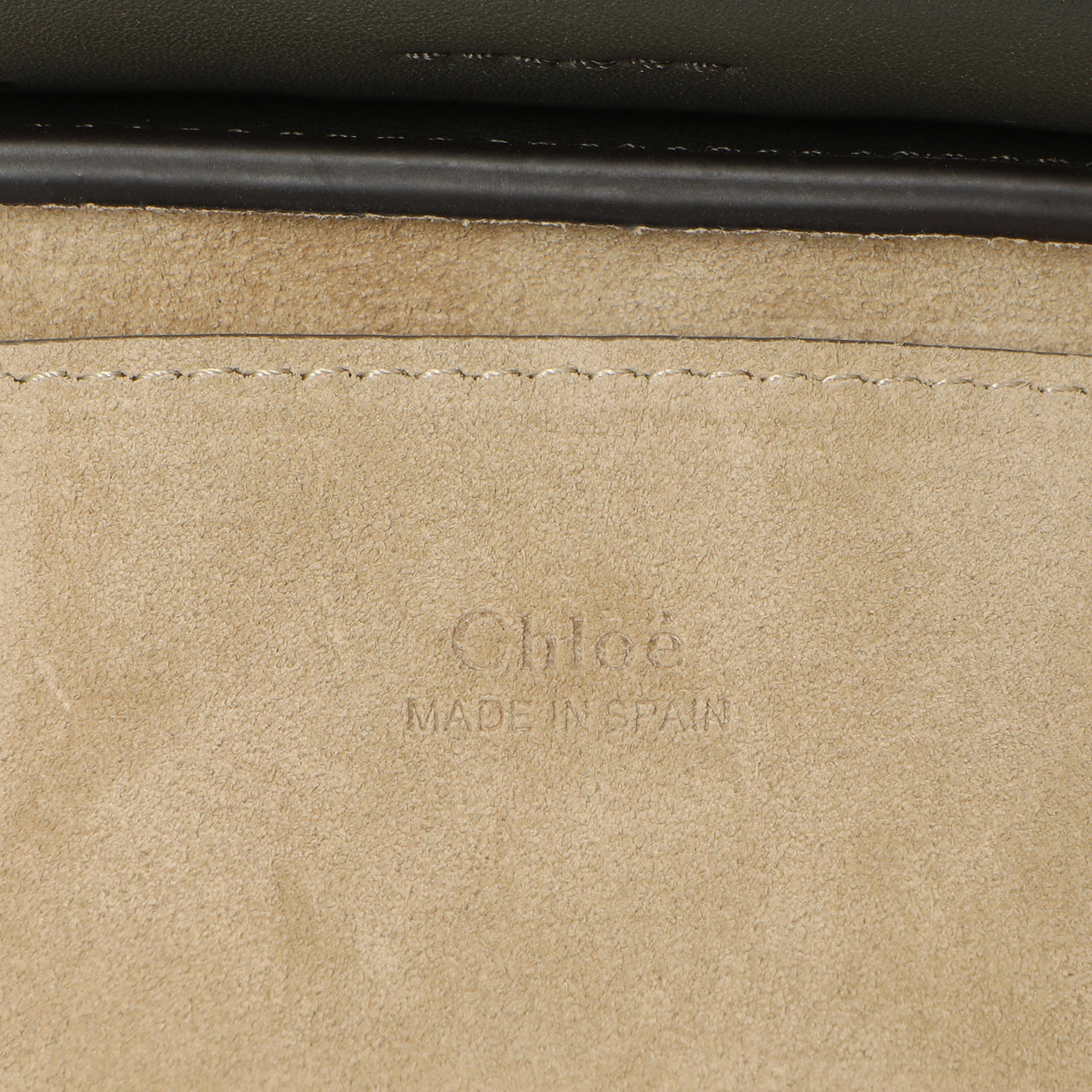 Exclusive Chloe Deep Forest Calfskin Suede Mini Faye Bracelet Bag — Detail View
