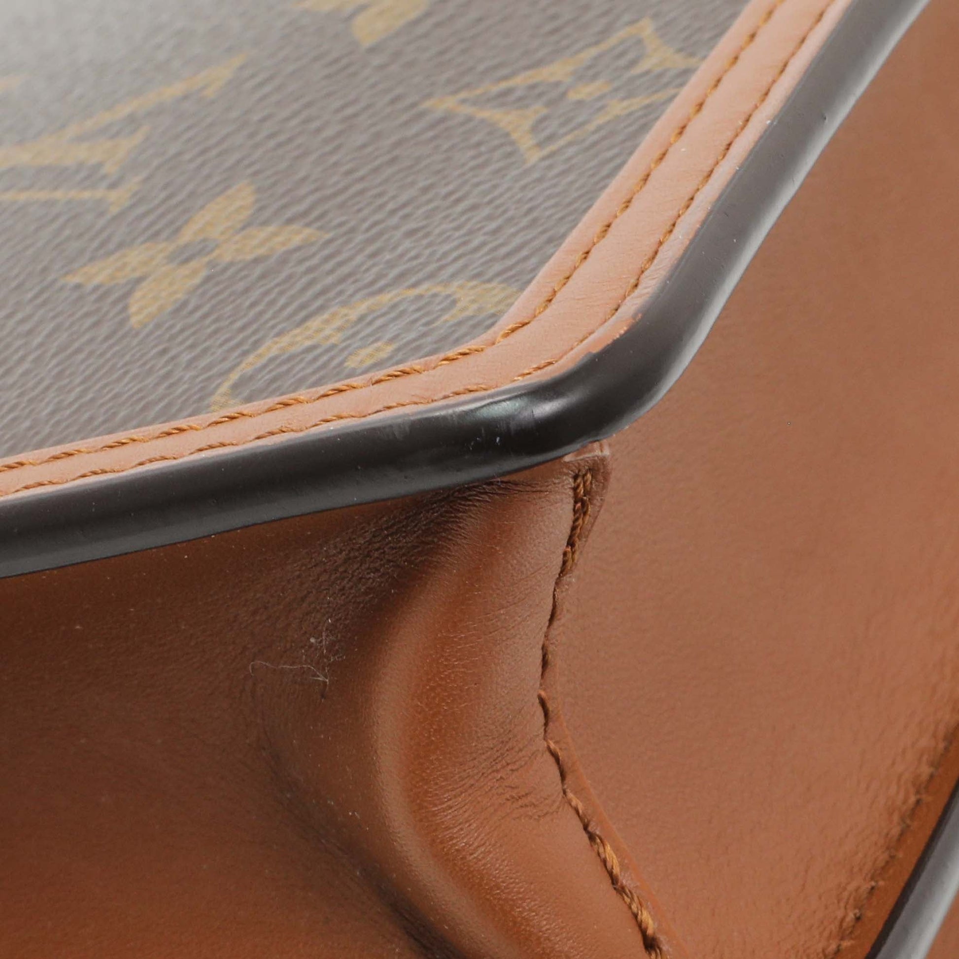 Exclusive Louis Vuitton Reverse Monogram Mini Dauphine — Lifestyle View
