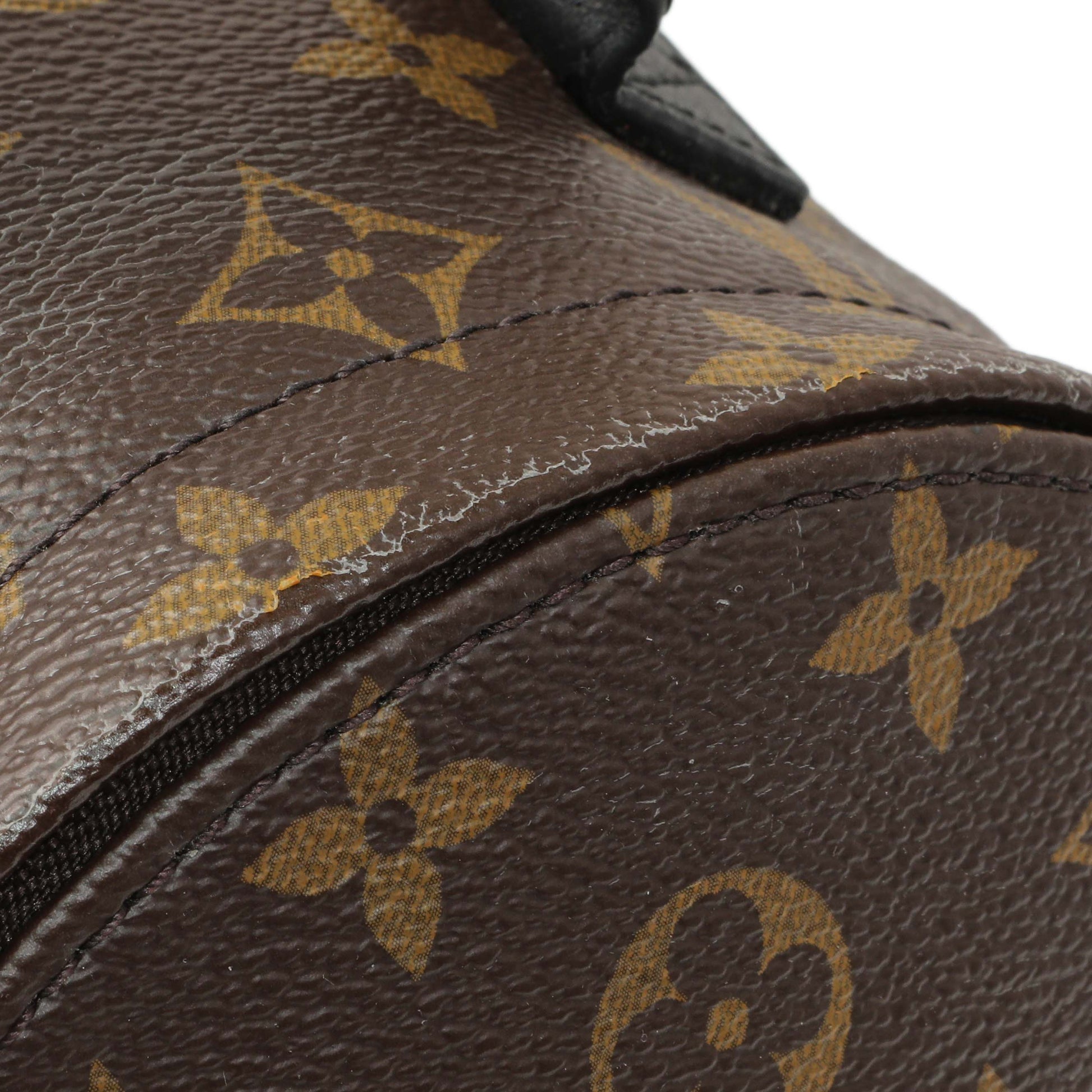 Exclusive Louis Vuitton Monogram Palm Springs Backpack Mini — Alternate View 9