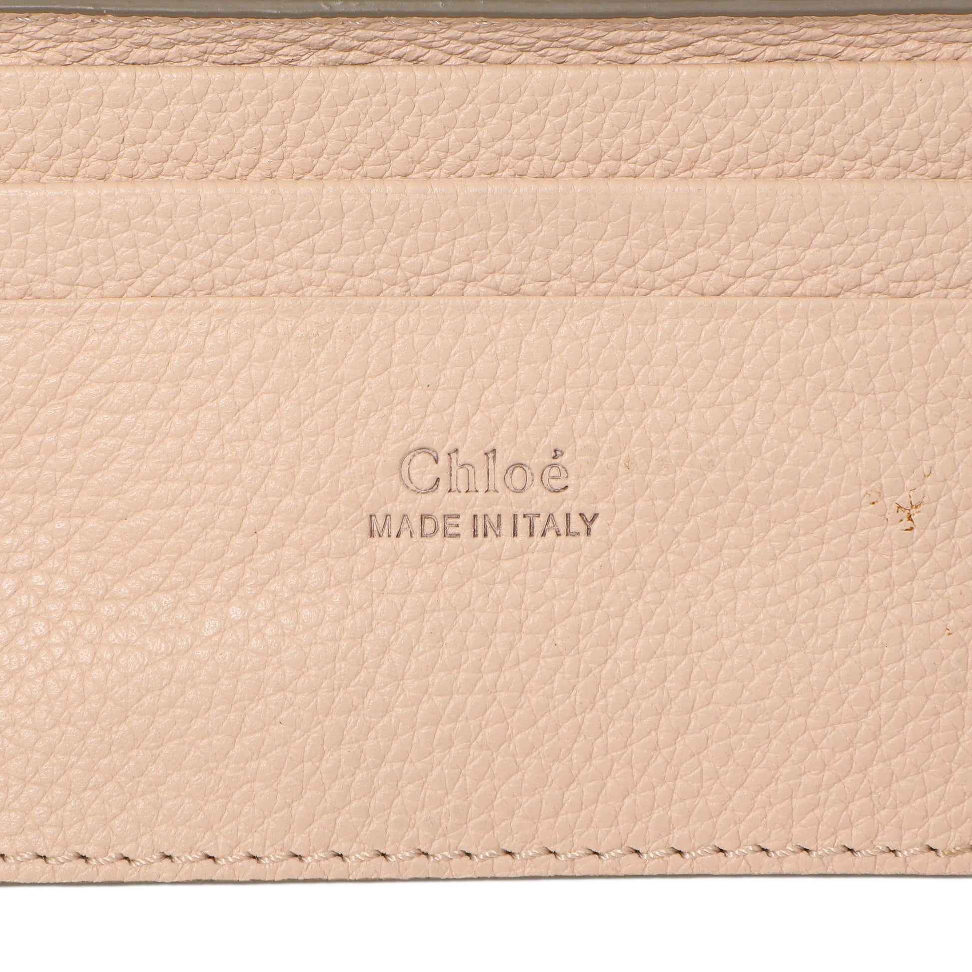 Exclusive Chloe Blush Nude Calfskin Mini Faye Shoulder Bag — Detail View